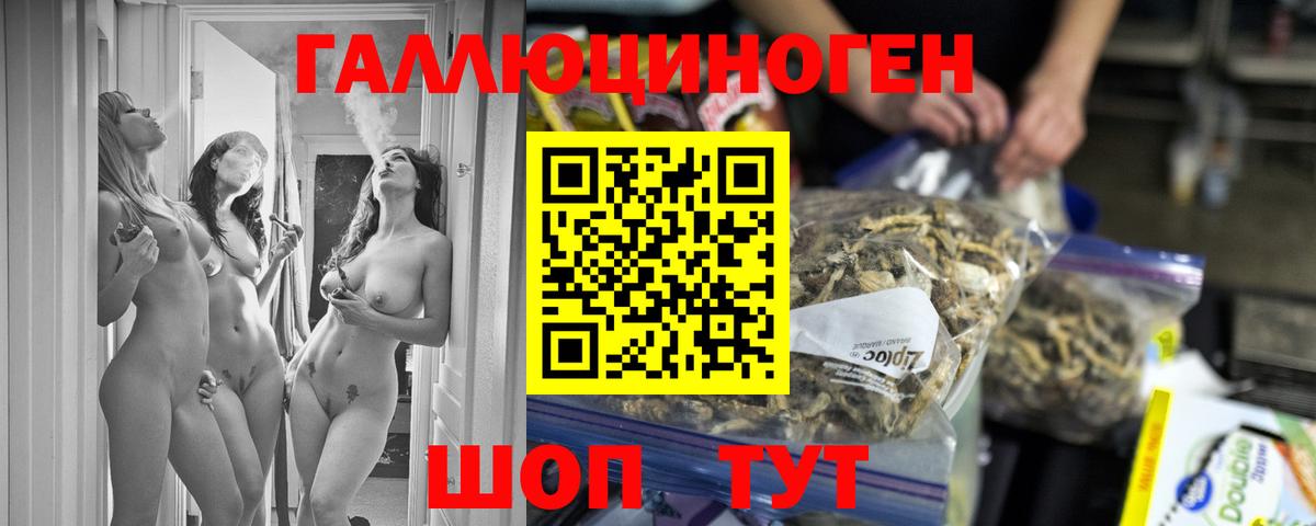 Галлюциногенные грибы MAGIC MUSHROOMS  Вход с VPN  Галлюциногенные грибы GOLDEN TEACHER  Прохладный 